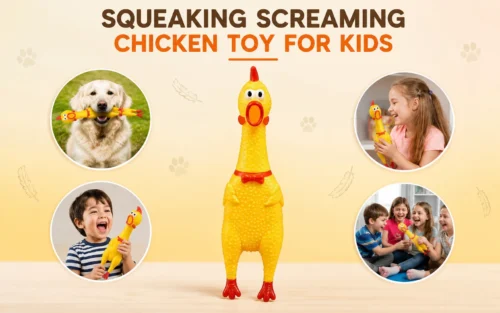 Screaming Chicken Toy Buying Decision