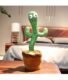 dancing cactus toy for baby